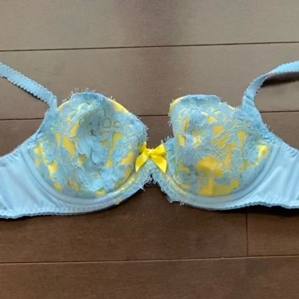 AP Selena Powder Blue Lemon Push up bra Size 36B